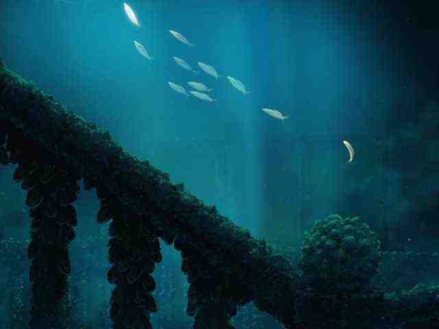 NEW DEVONIA  still