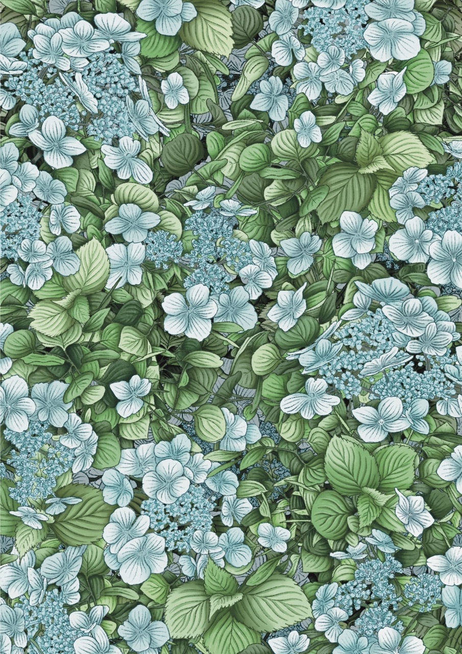 A dense pattern of green leaves and pale blue-white flowers fills the frame, forming a leafy botanical background.