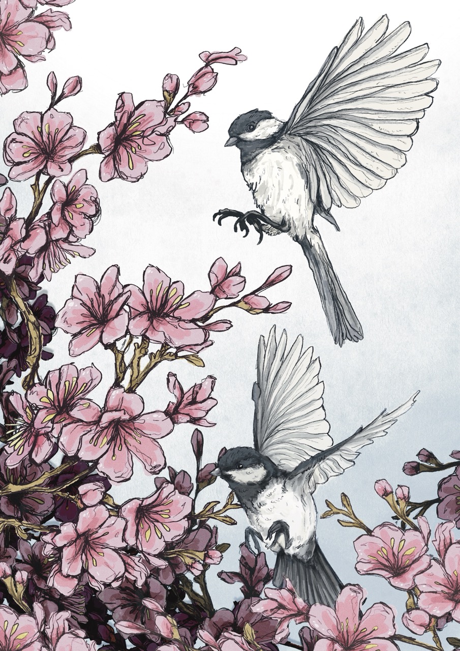 Two birds among pink blossom branches, one in flight and one perched with wings raised against a pale background.