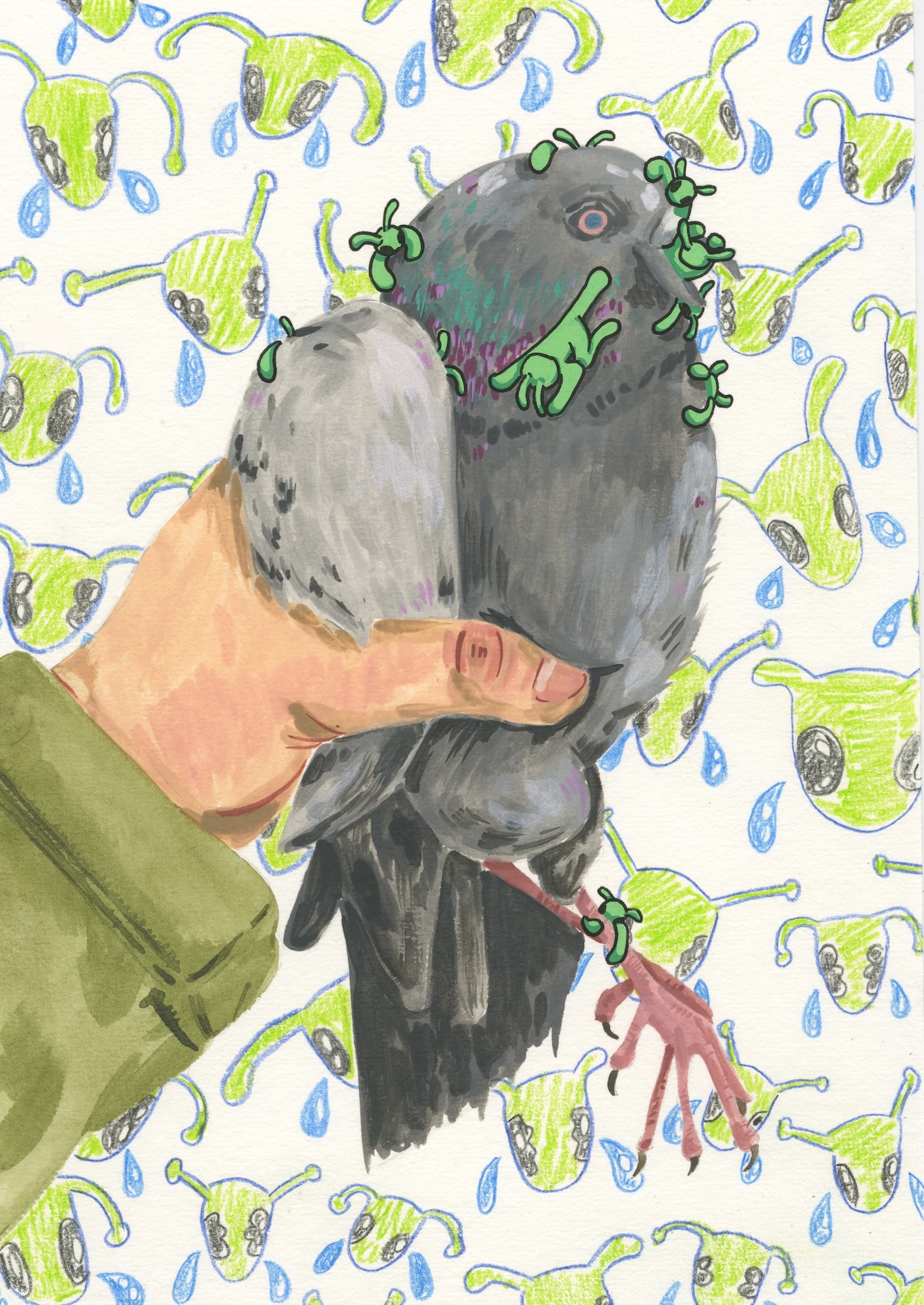 A hand holds a grey pigeon with green frogs drawn on its head and body, against a patterned background of repeated green frog shapes and blue teardrops.