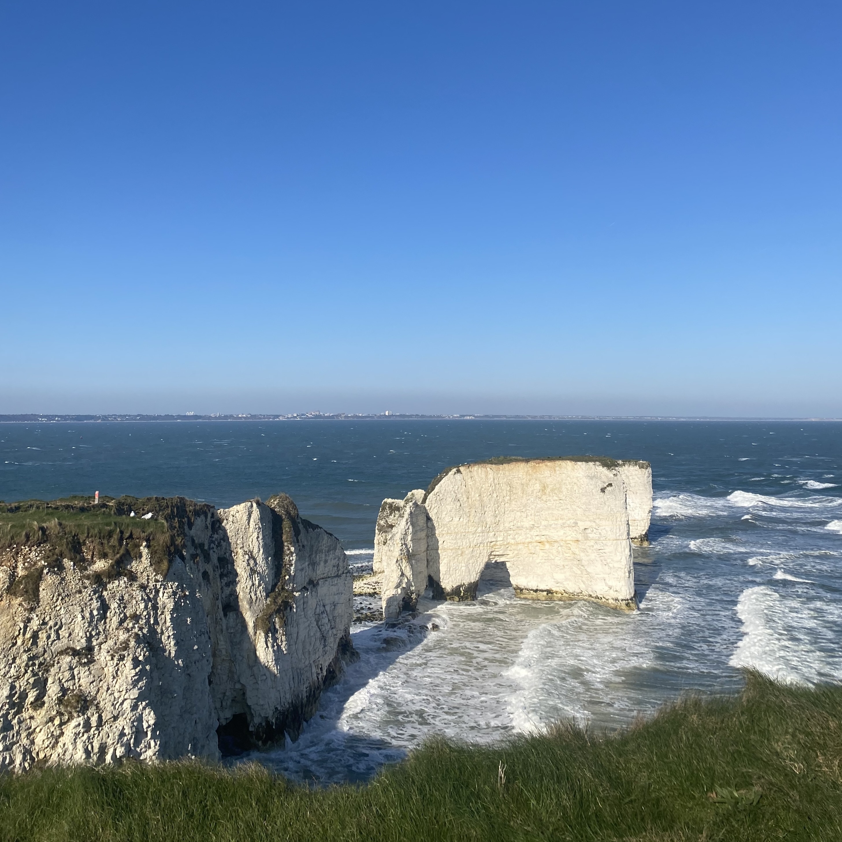 White chalk cliffs and sea stacks against blue ocean with white foam waves. Clear blue sky above, green grass in foreground.