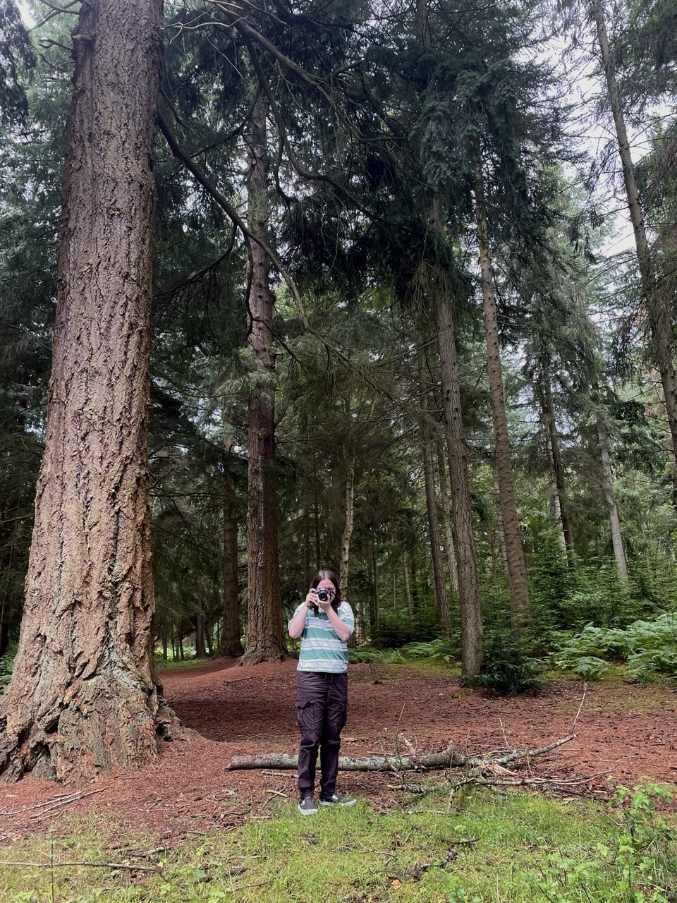 A person holding a camera taking a photo in a forest.