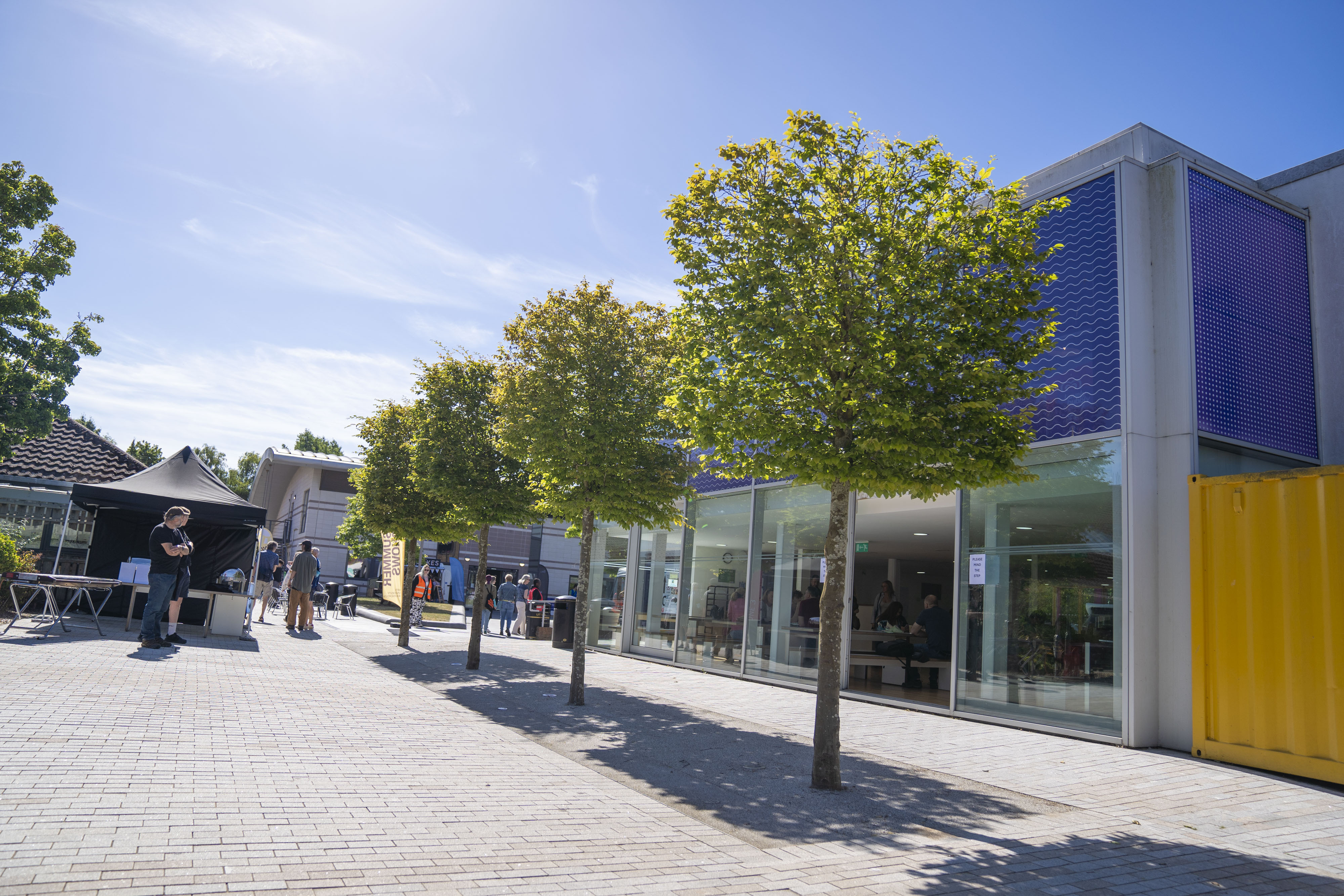A row of square cut trees in a courtyard outside the Refectory at Arts University Bournemouth campus.