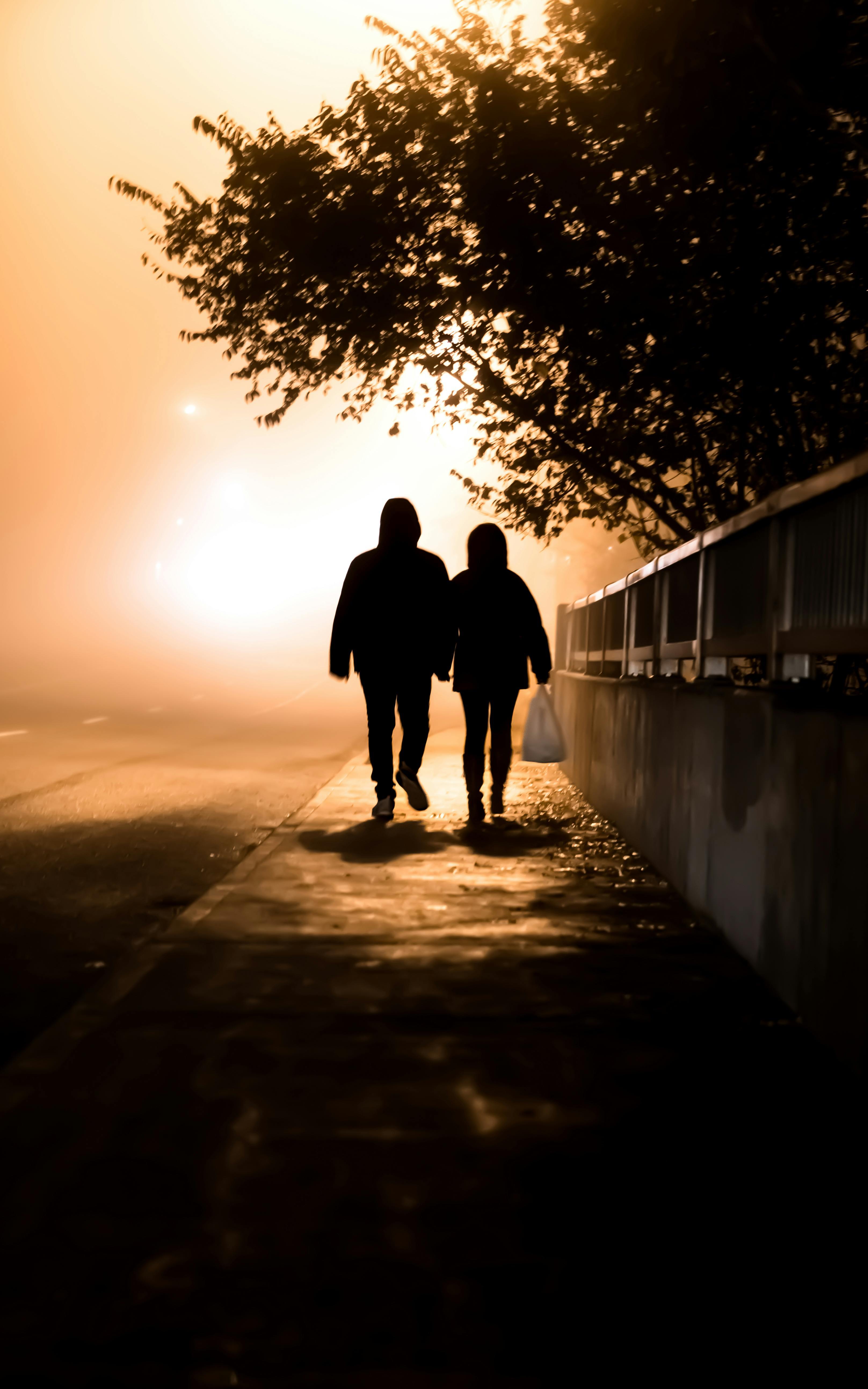 Two silhouetted figures walking on wet pavement beneath tree branches, with bright orange sunset light and concrete barrier visible.