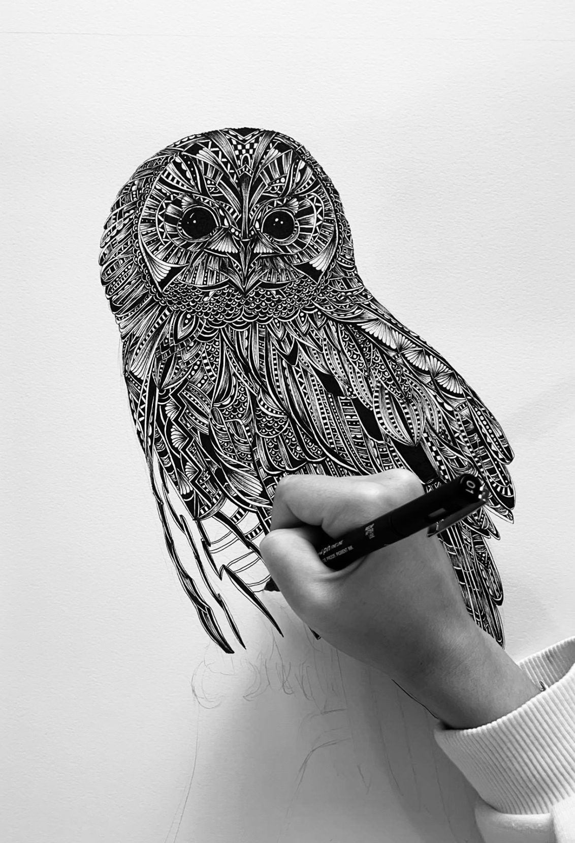 Intricate, patterned drawing of an owl on paper with pen, black and white.