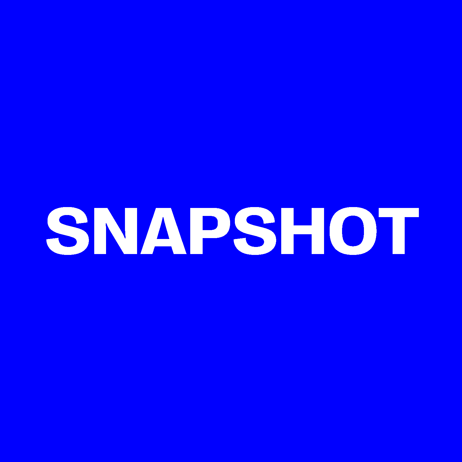 Blue banner with white text reading "Snapshot".