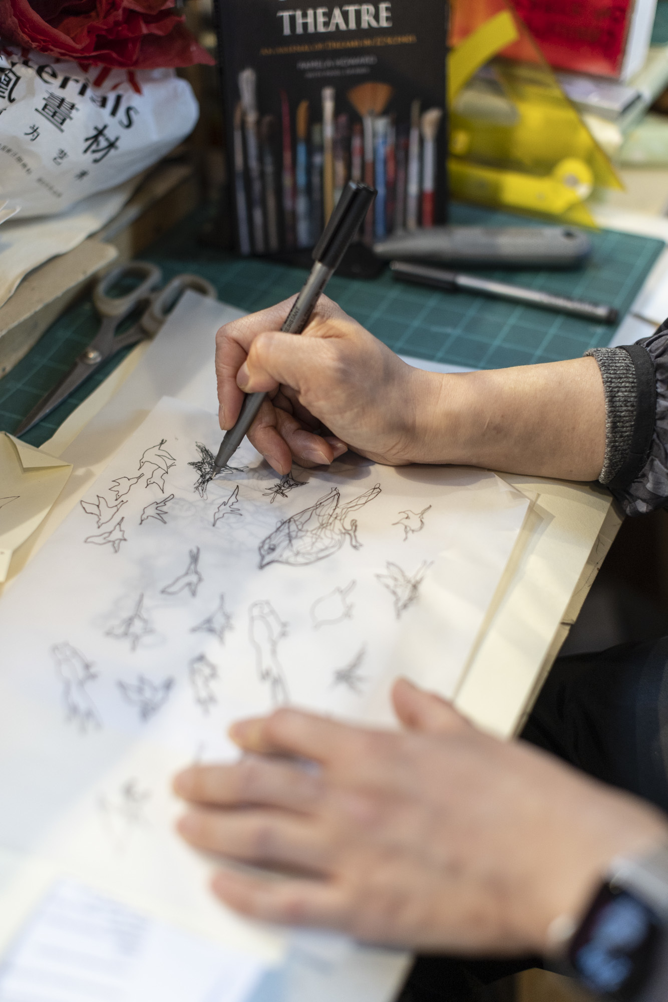 Pamela Howard drawing with a pencil on paper, sketches of birds.