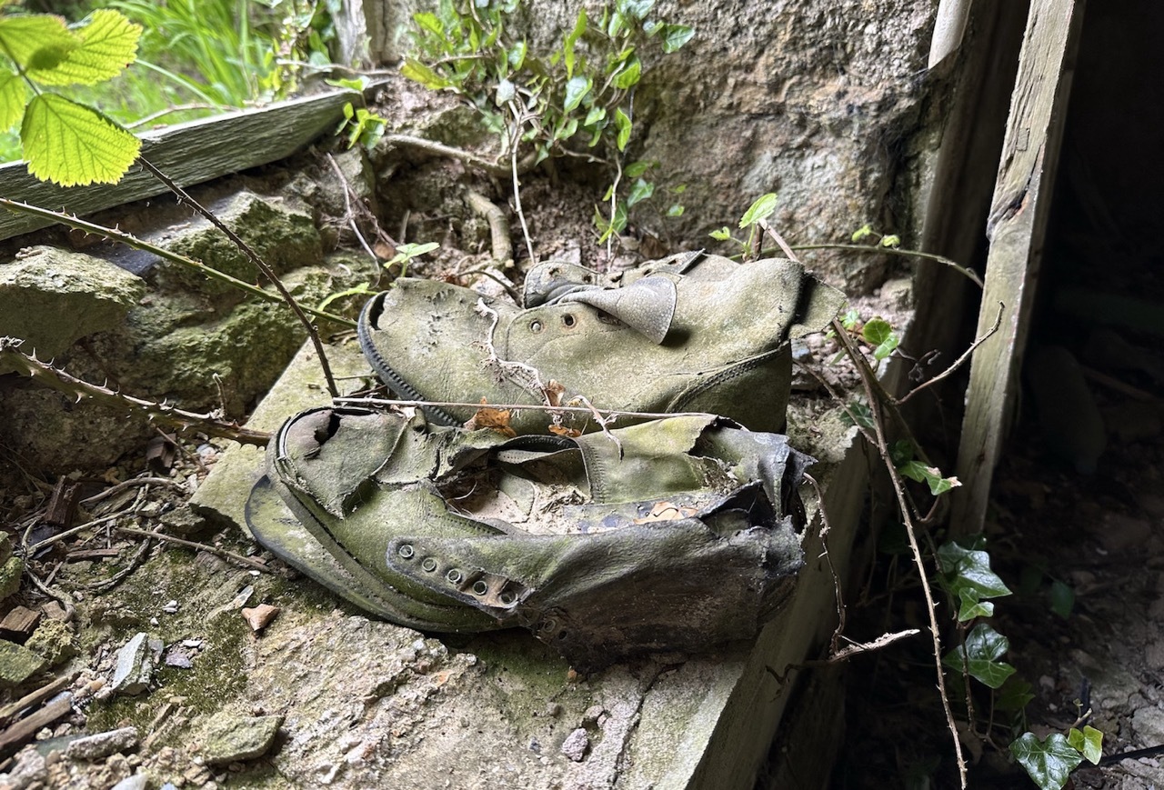 Old weathered boots with plants growing from them, placed on wooden planks against stone wall with green foliage around.