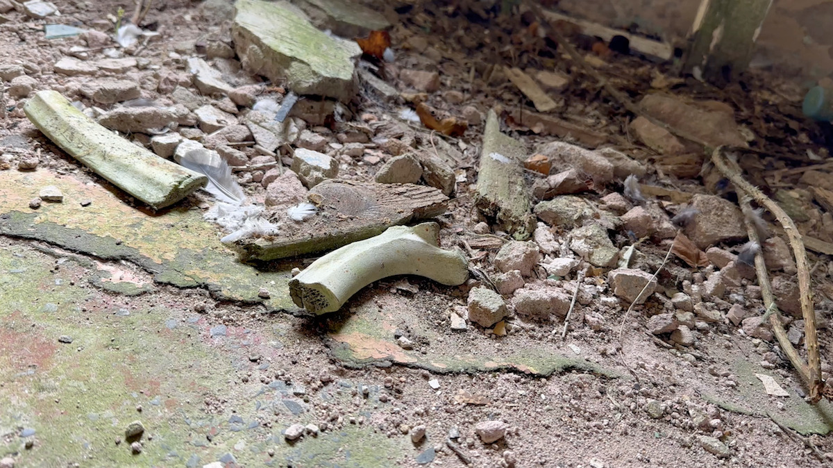 Large curved ivory tusks and bones scattered amongst grey rubble and debris on sandy ground.