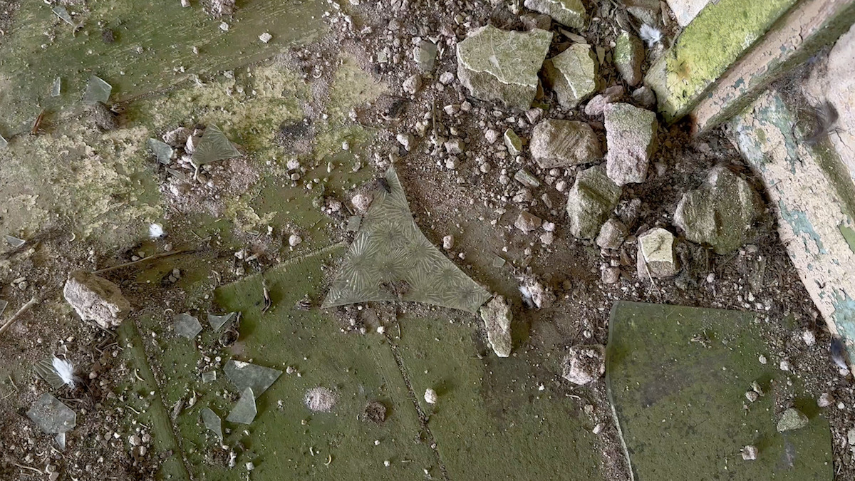 Cracked concrete surface with green moss patches, scattered grey stones, and brown debris. Weathered pavement shows multiple fissures.