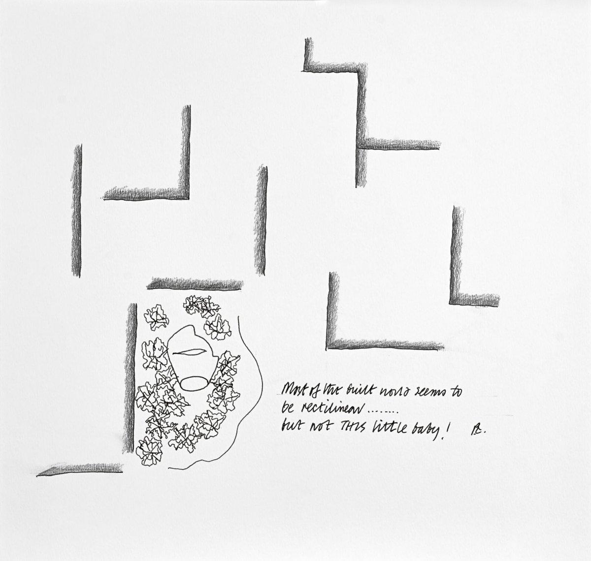 Drawing Studio Sketch