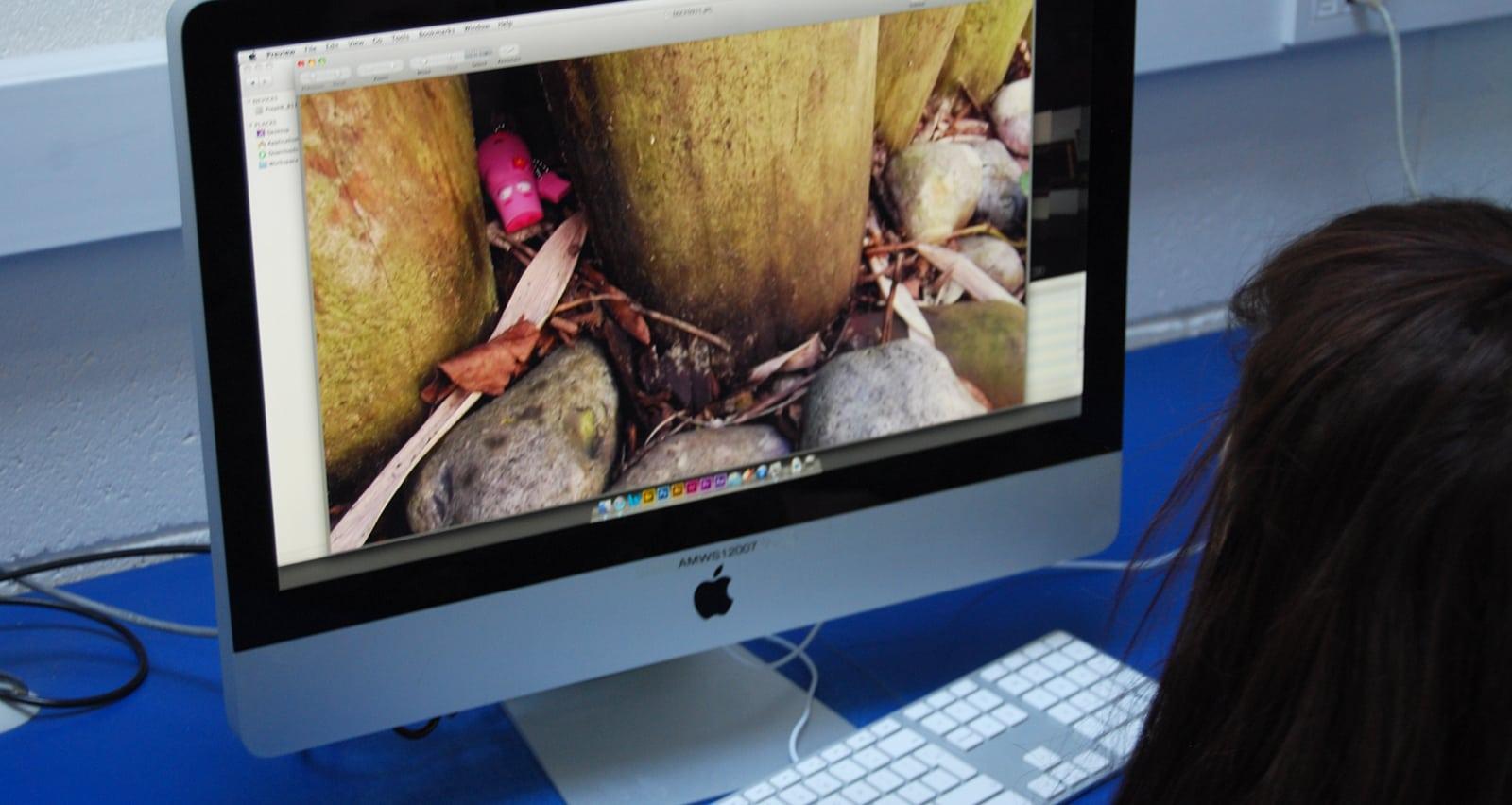 Student using Adobe to edit photographs