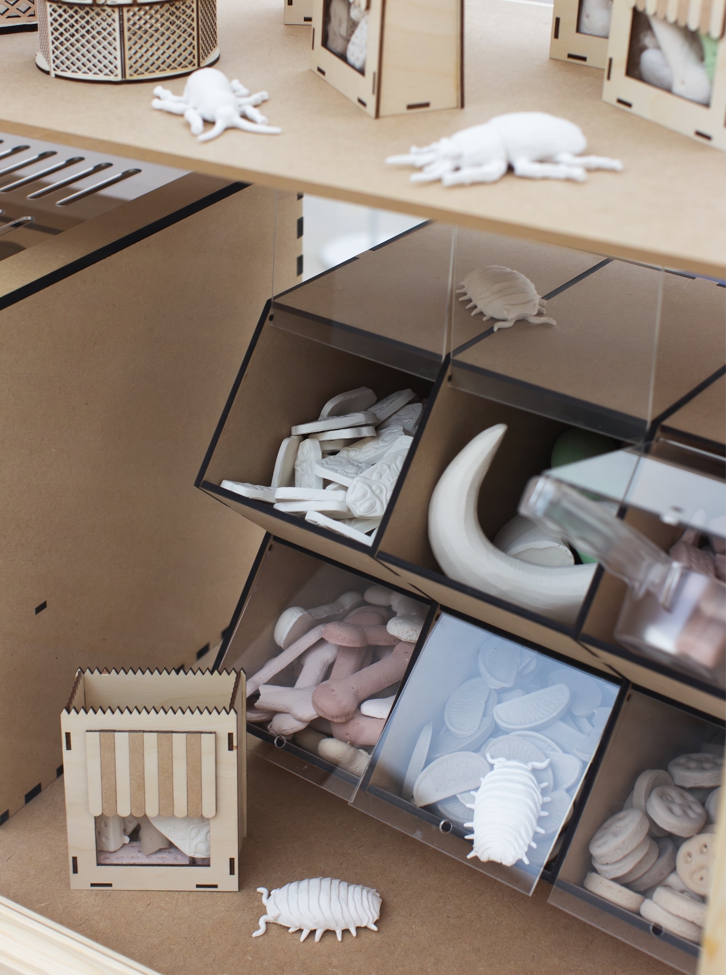 Wooden display case with glass compartments containing white animal skeleton models and bones on light wood surface.