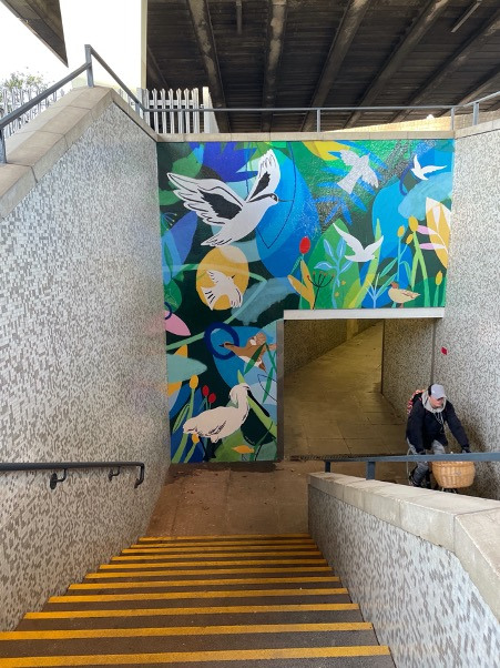 A mural showing different birds on a wall above an underpass. Someone riding their bike has just come out from the underpass.