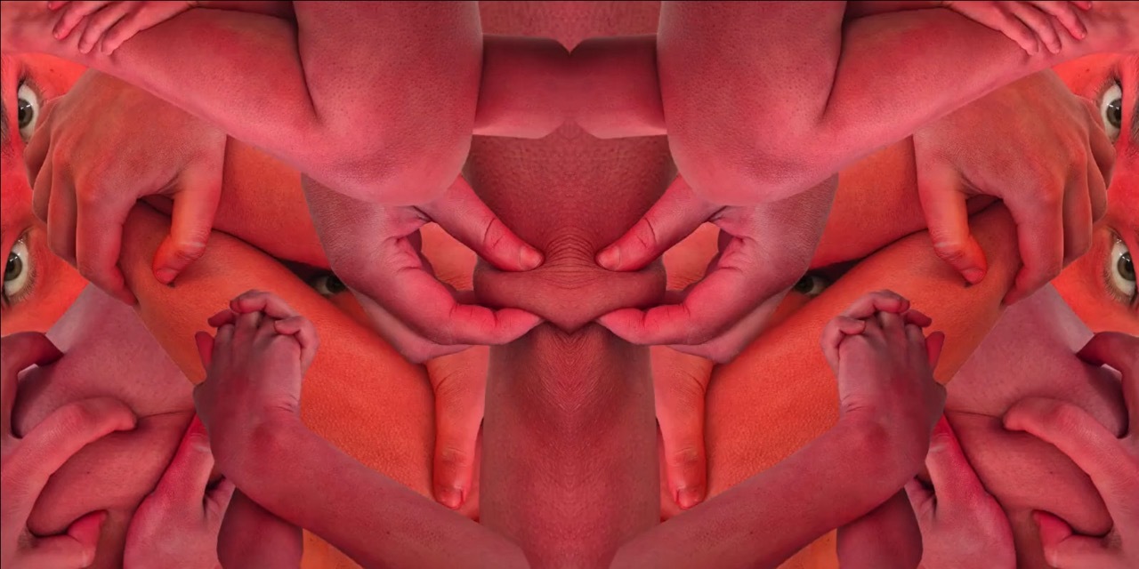 Symmetrical digital composition with overlapping pink and red curved shapes forming mirror patterns across horizontal axis.