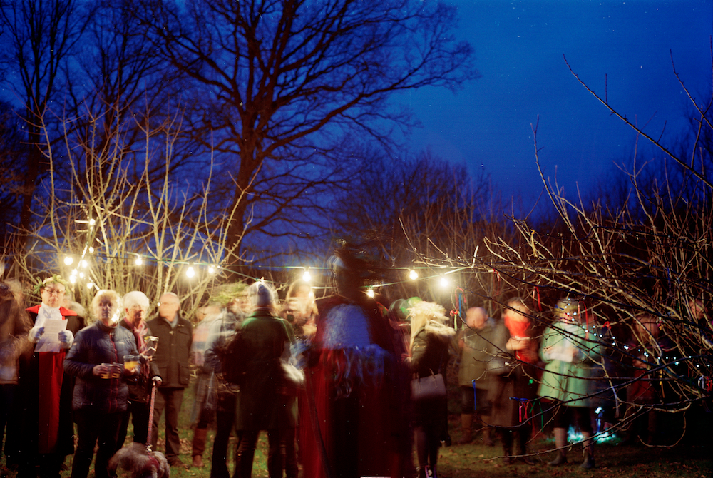 A crowd of people gathering in a woodland near bare trees with lights hanging overhead.