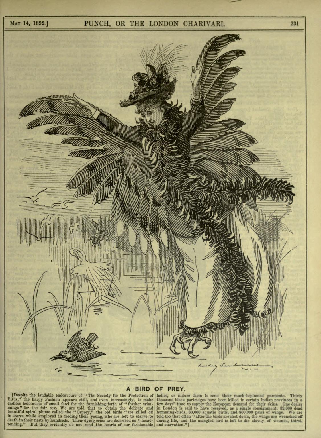 Illustration from Punch magazine showing a woman in a costume inspired by a Bird of Prey.