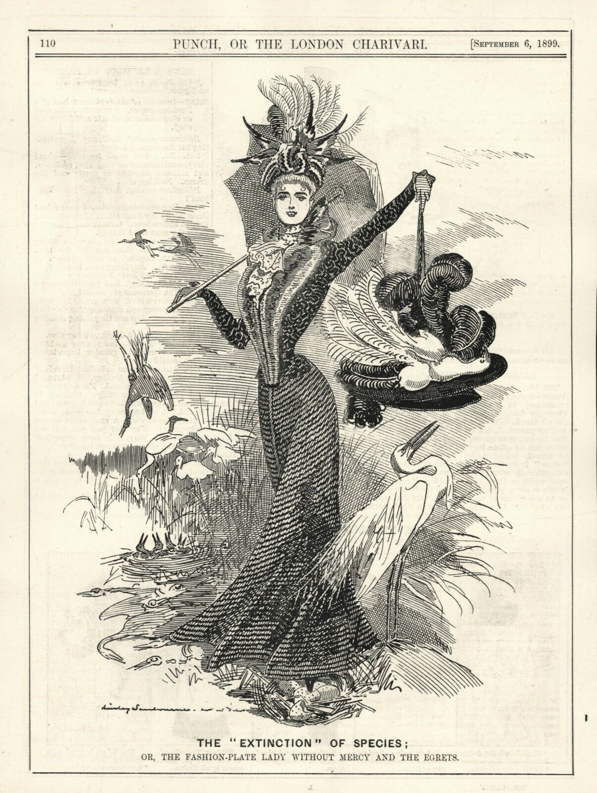 Illustration from Punch Magazine showing a woman in 19th century dress holding out her hat to a bird beneath it.