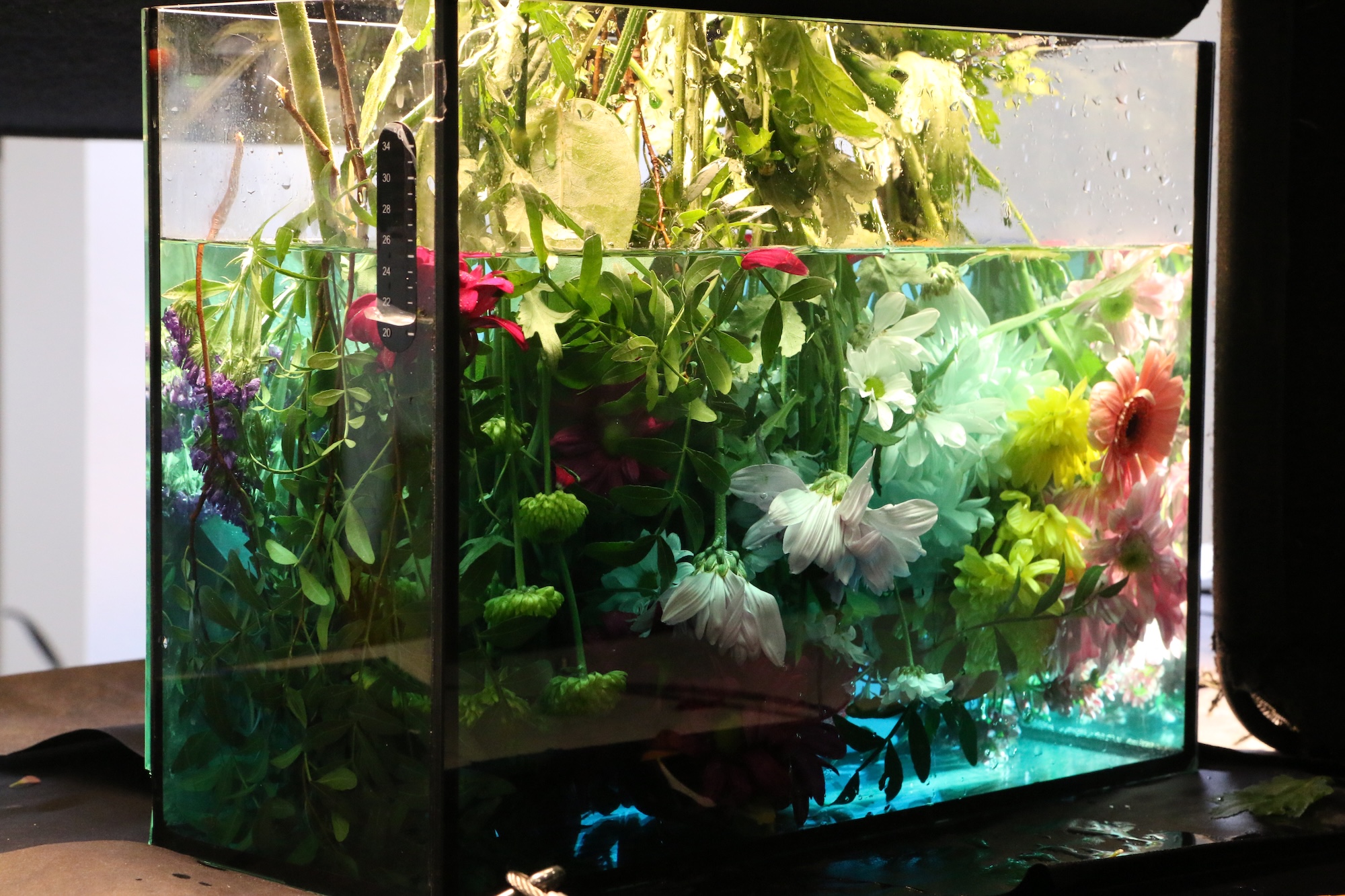 A clear glass tank filled with water and an assortment of flowers, including pink and white blooms, greenery, and vibrant petals. The tank sits on a flat surface, and reflections and light create a visually appealing effect within the water.