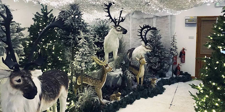 A Christmas display featuring several model reindeer and decorated Christmas trees