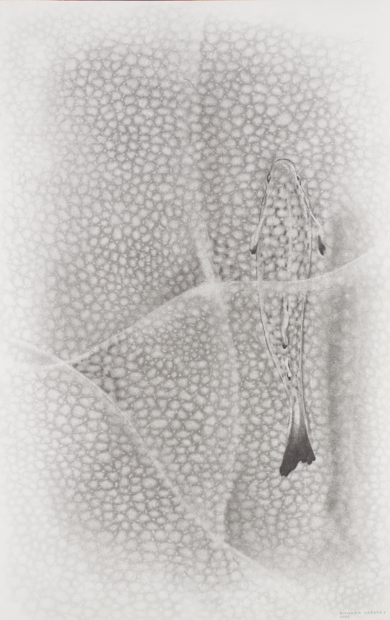 A monochrome close-up of a fish with a spotted pattern, shown against a textured background with soft, blurred edges.