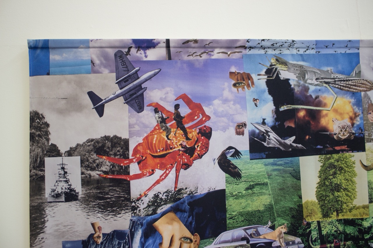 A collage featuring various imagery, including an aircraft in flight, a vibrant red crab, landscapes of greenery, wildlife, and nostalgic vehicles, arranged in a visually dynamic way over a white background.
