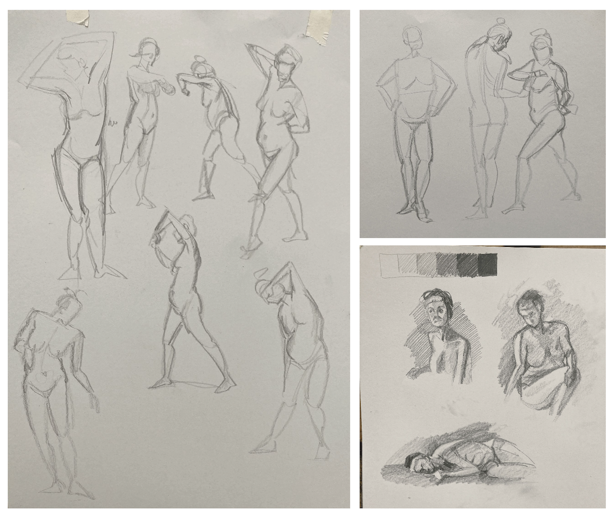 Pencil sketches of nude figure studies on grey and pink paper, showing various poses and anatomical drawings in loose, gestural lines.