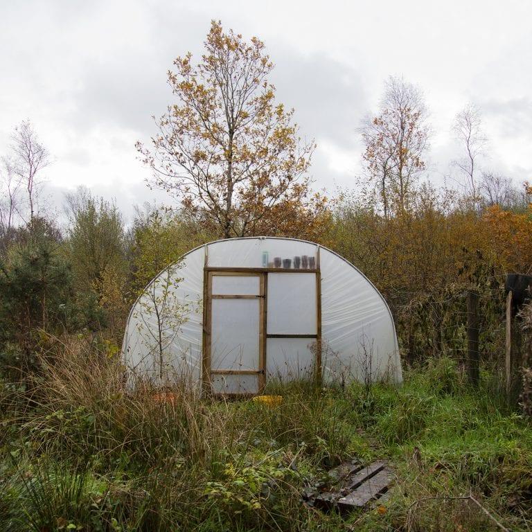 A small domed greenhouse in an overgrown area of a garden.