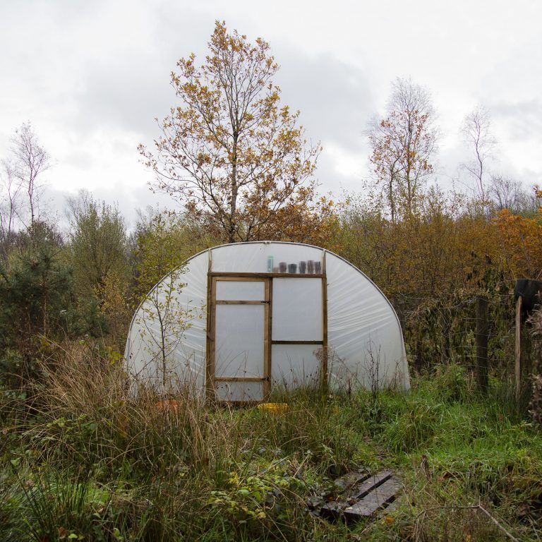 A small domed greenhouse in an overgrown area of a garden.