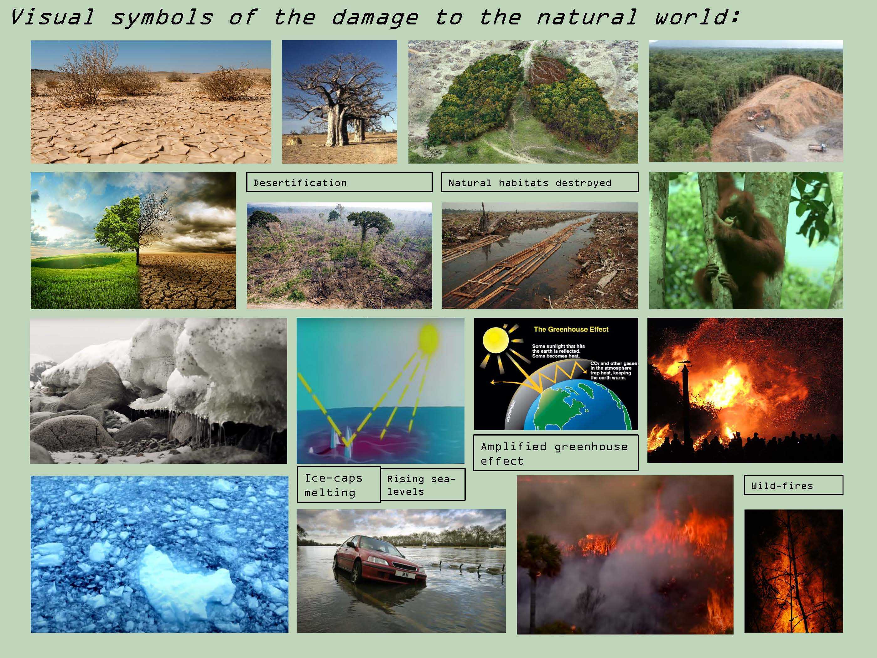 Collection of images showing natural disasters
