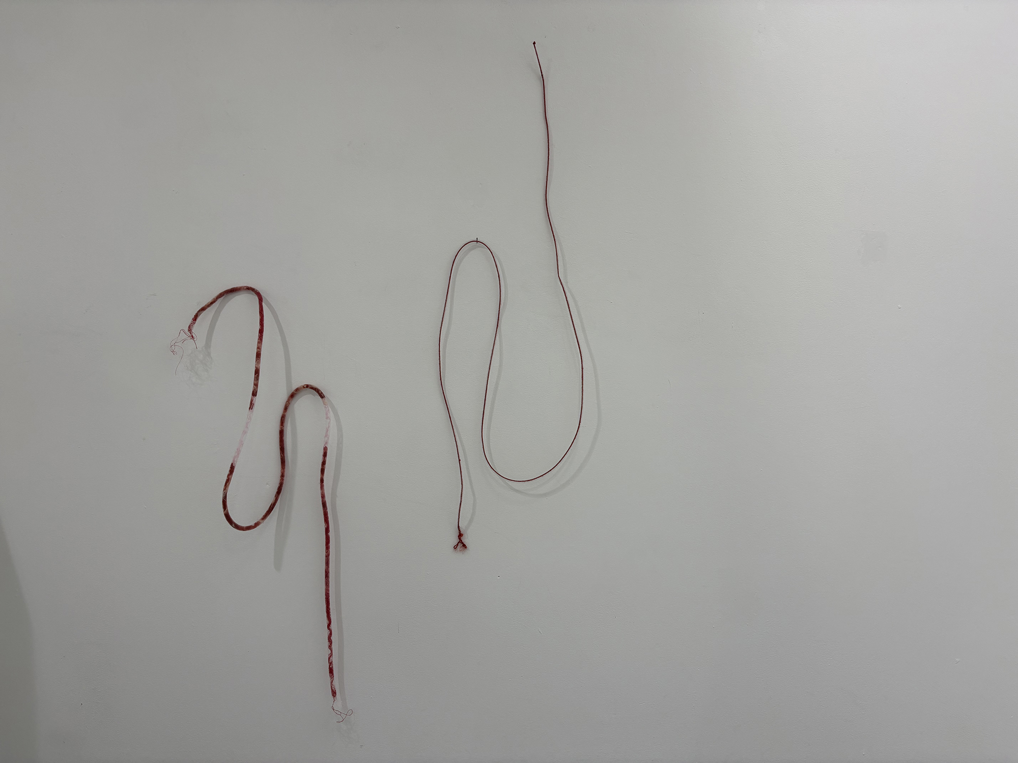 Two lengths of red thread hang against a plain white wall, one forming loose loops and the other draping in a long curve.