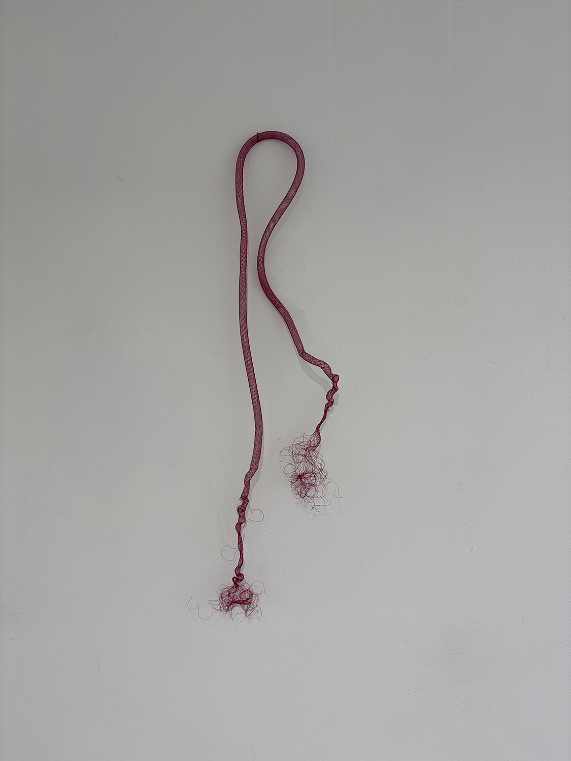 A thin red cord with frayed ends hangs against a plain light grey background.