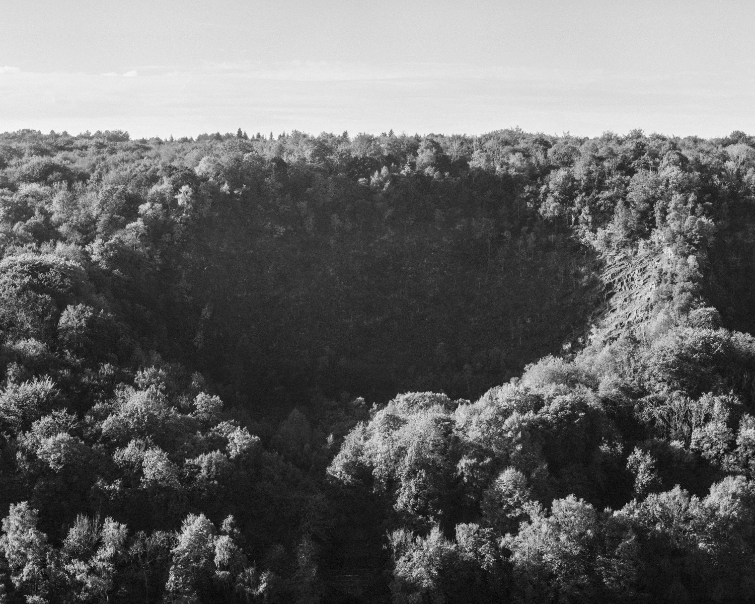 Black and white photograph of a gorse bush with a large round pit in the centre.