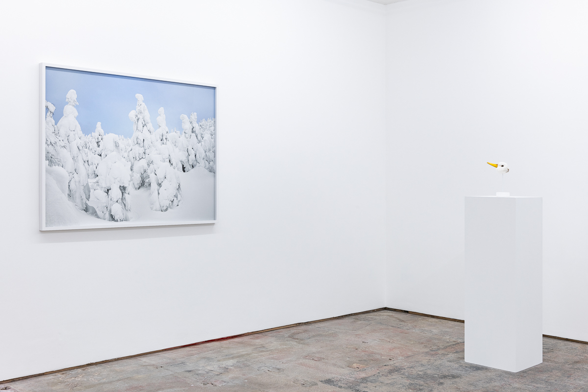 A picture of a snow scene hangs on the left-hand side of a gallery wall. A sculpture of a duck's head is on a pedestal on the right-hand side.
