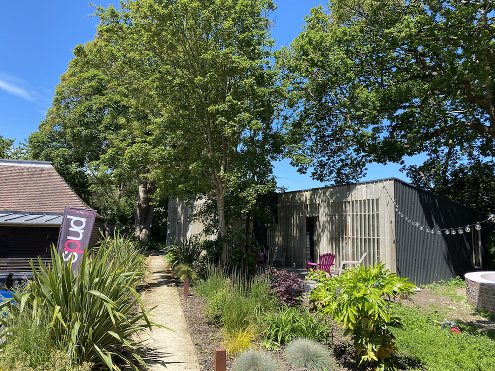 A garden with a metal shed towards the right.