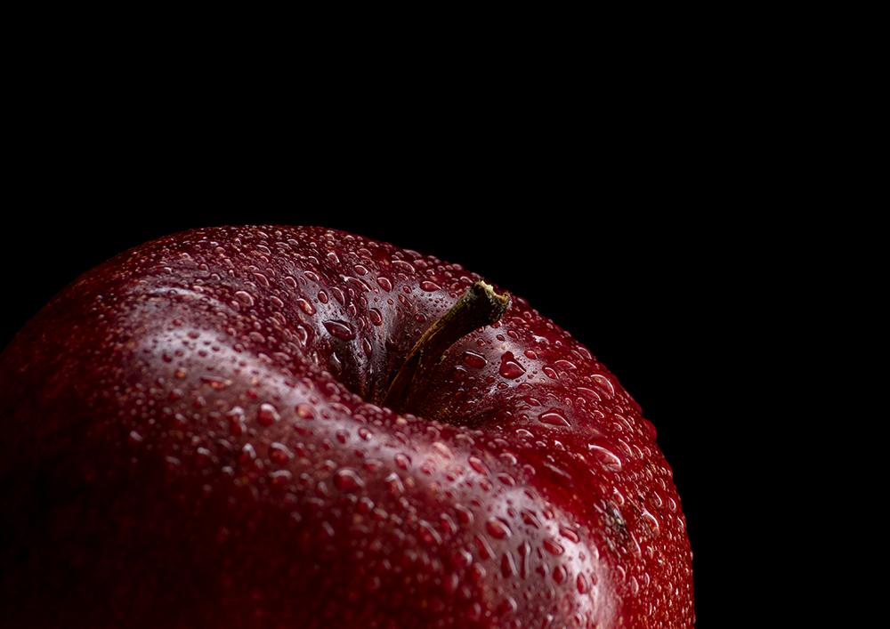 still life photography