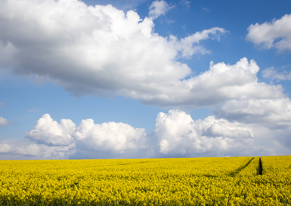 Landscape Photography