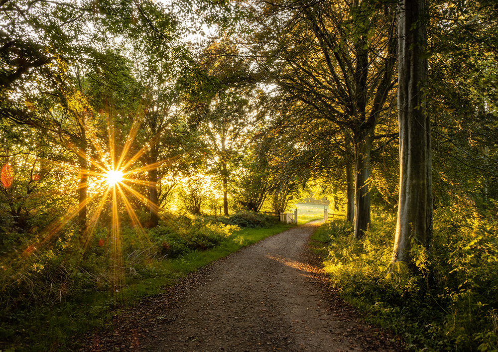 Landscape Photography