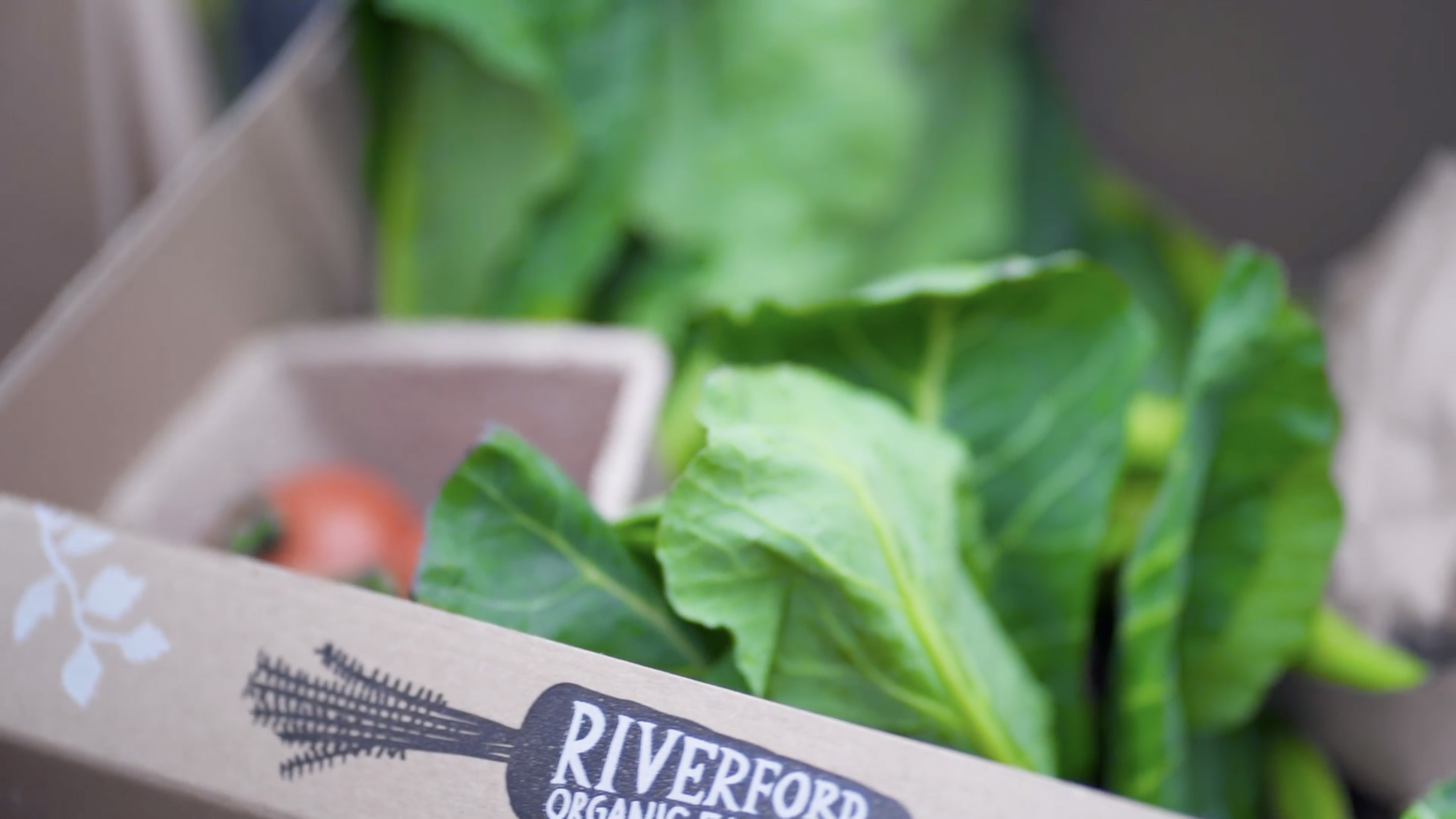 Still from the Green Week video showing fresh green produce in a box