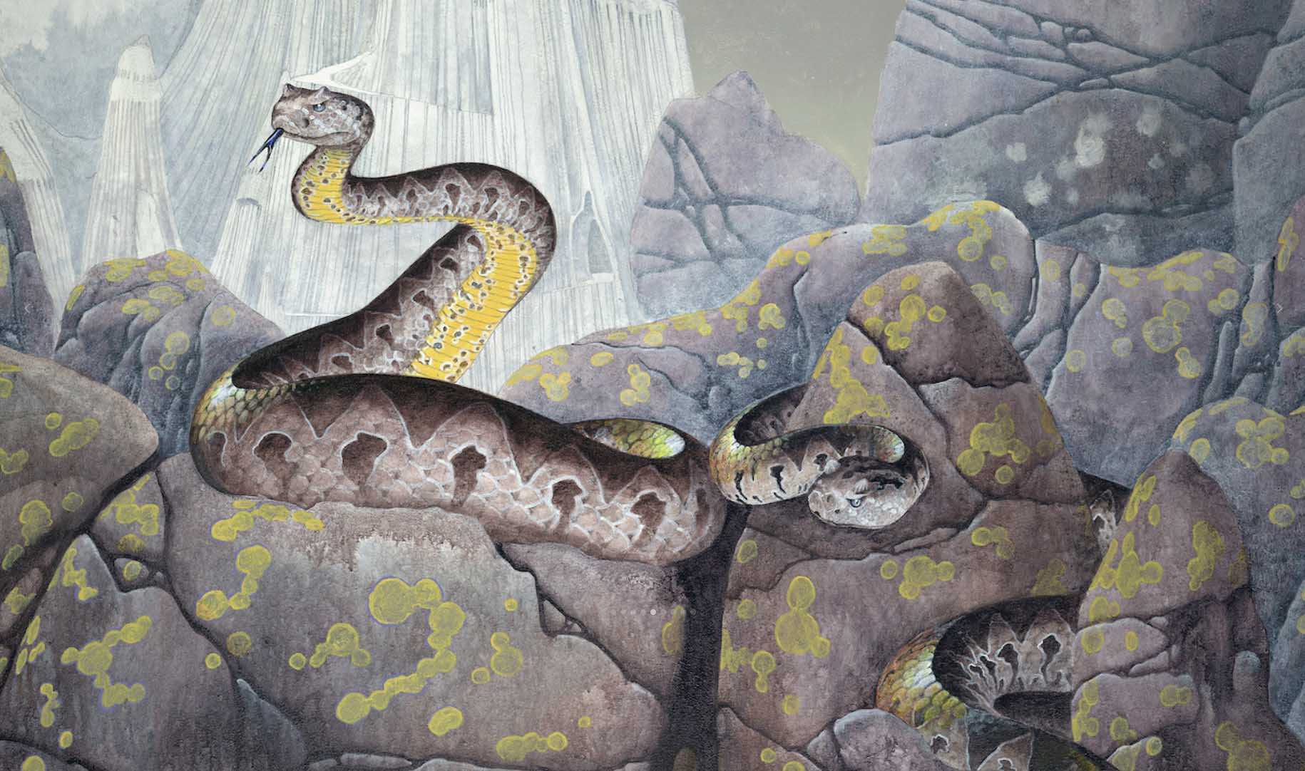 Artwork by Roger Dean – painting with snakes against mossy rocks.