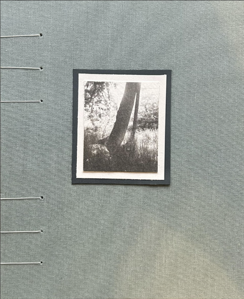 Framed sepia-toned image of a tilted tree trunk mounted on grey textured wall with metal binding rings visible on left side.