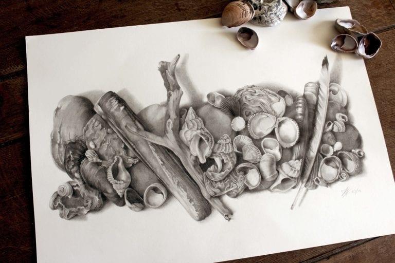 Sea Shells
