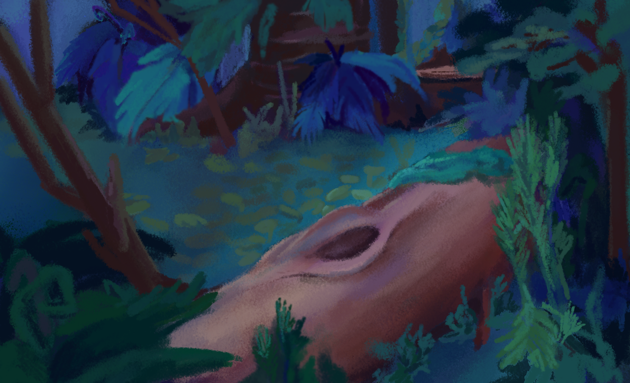 Dark forest floor with deep green plant life and a large log lying on the ground.
