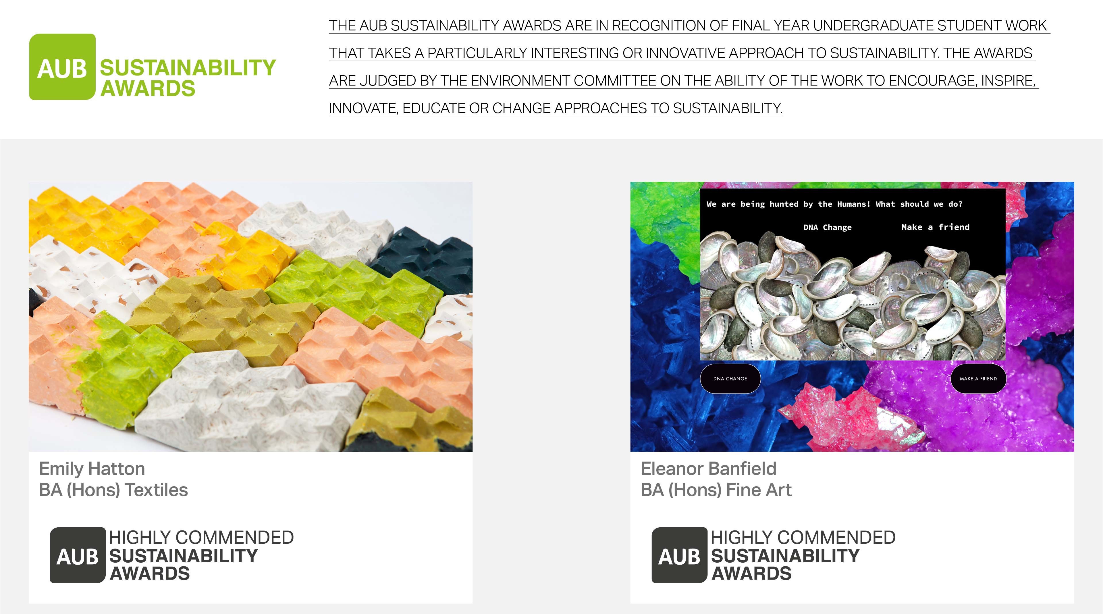 Section from the Sustainability Awards slide deck