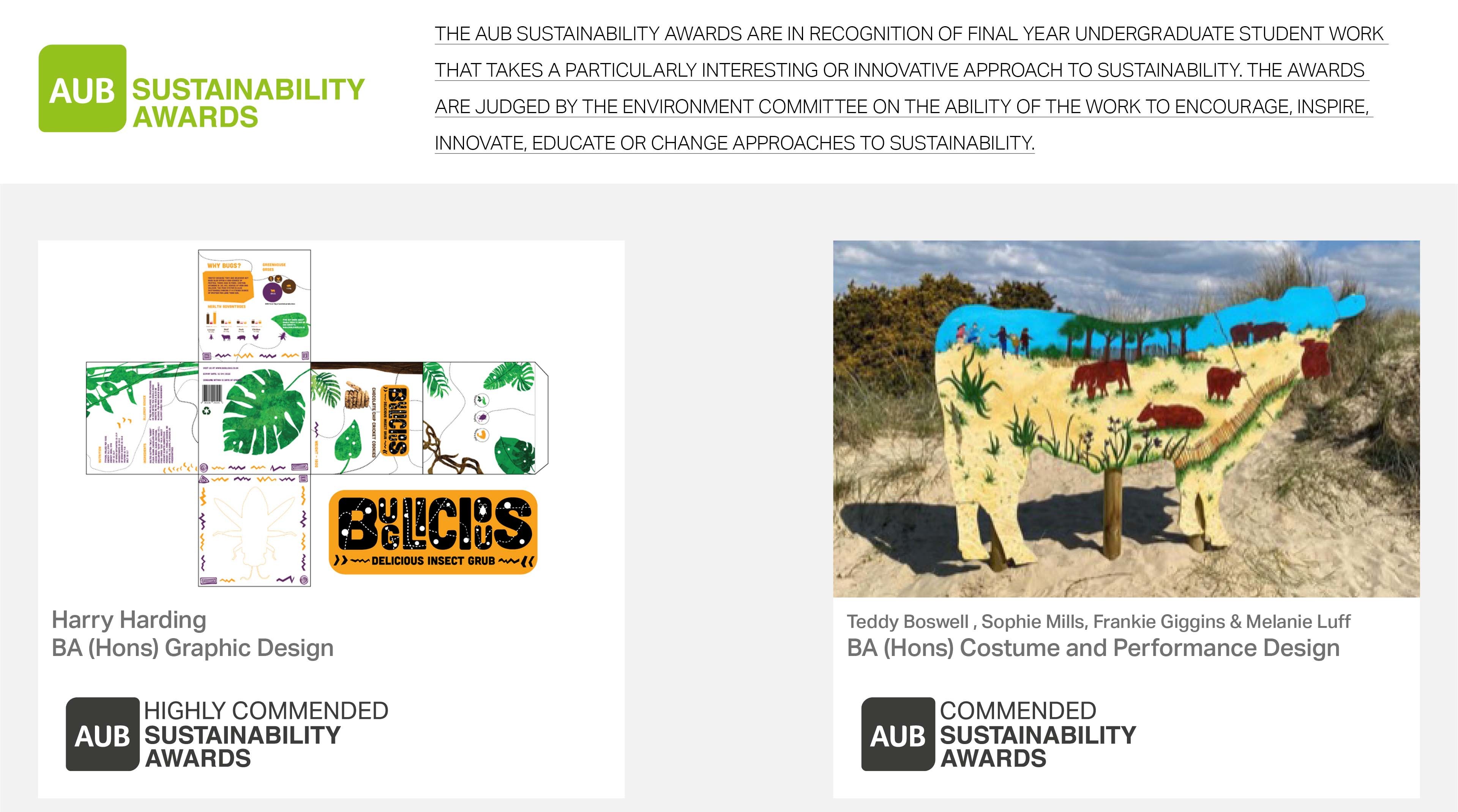 Section from the Sustainability Awards slide deck