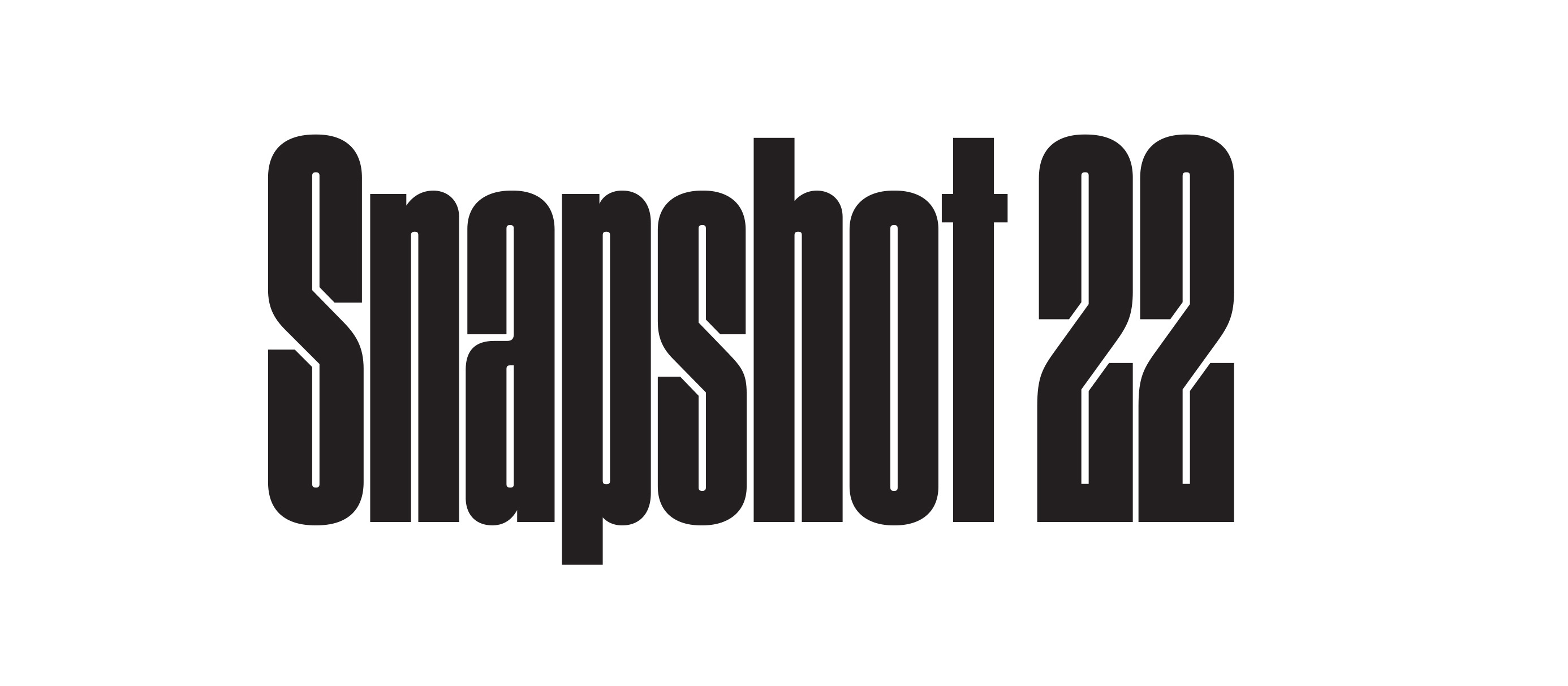 Black text on a white background that says "Snapshot 22"