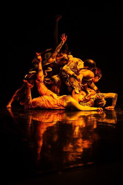 A group of dancers is intertwined on a dark stage, creating a dynamic and layered composition. The stage floor reflects warm light, enhancing the visual impact of their poses and body movements.