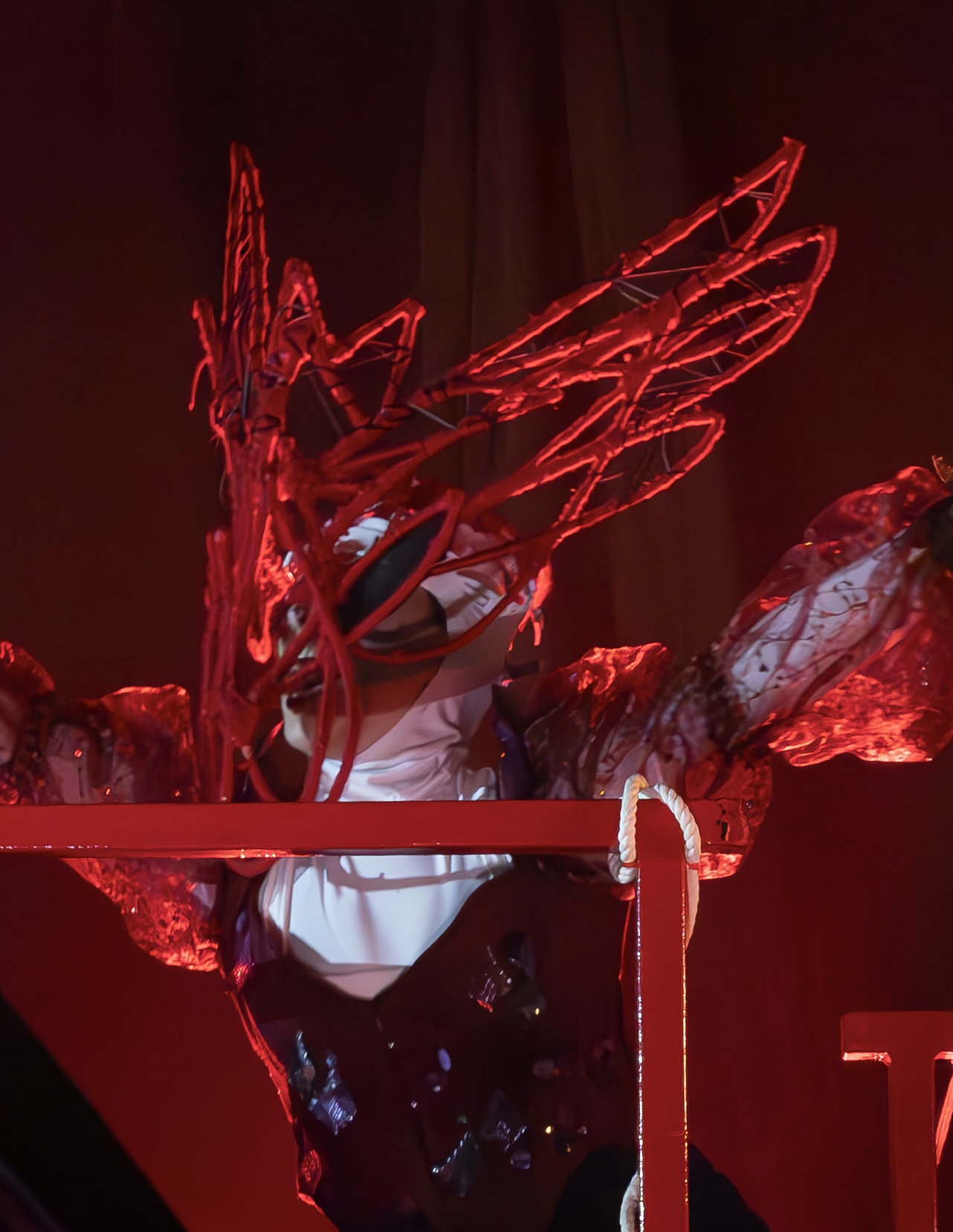 A performer in a striking costume featuring red branches and elaborate fabrics poses on stage. The background is dimly lit, enhancing the dramatic effect of the costume's details and colours.