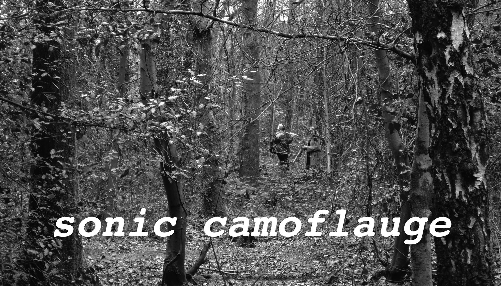 black and white photo of a woodland with white text that says: Sonic Camouflage