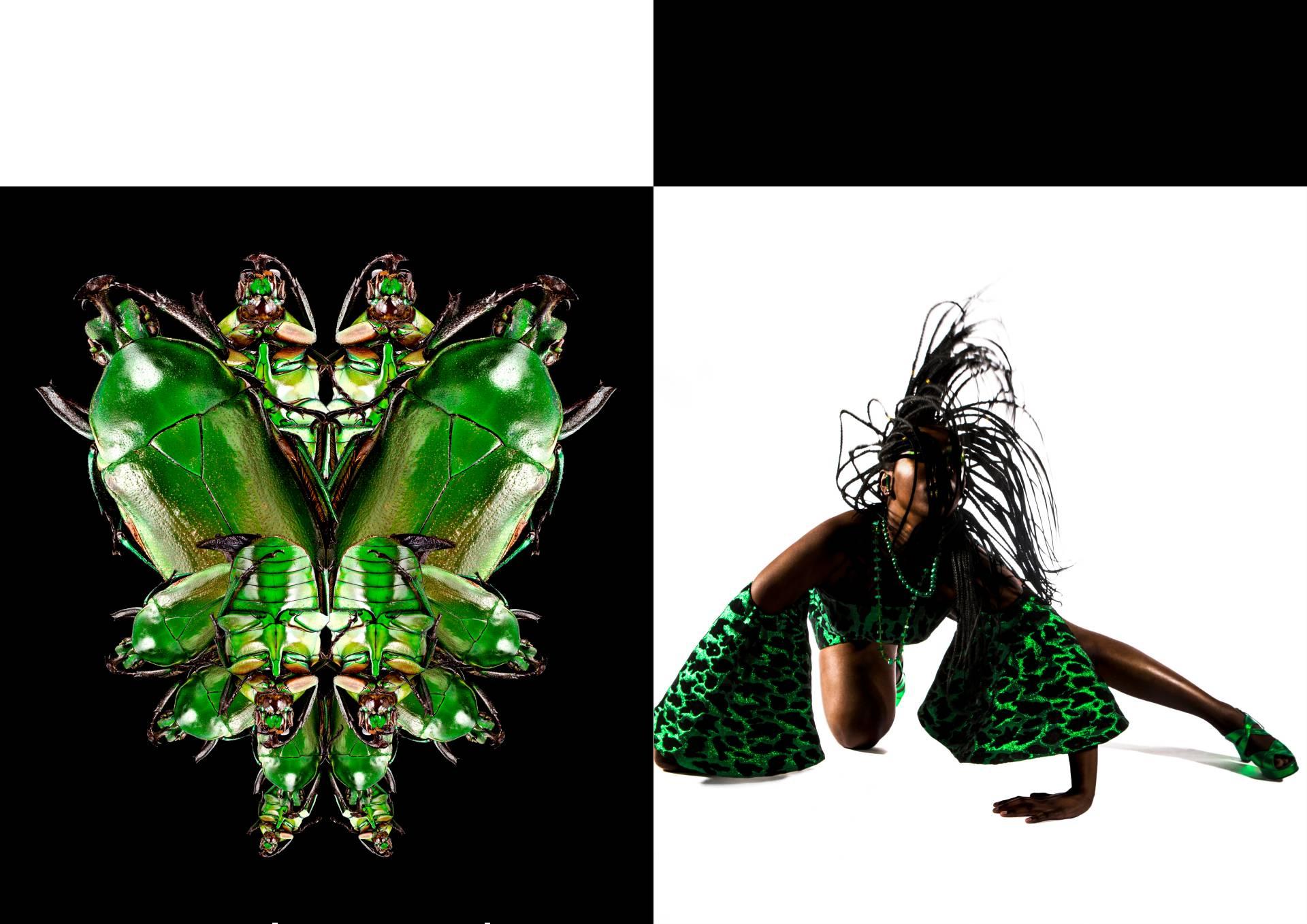 Two photographs. Left-hand photo shows several images of a green beetle. Right-hand image shows a model in green costume on all fours whipping their hair forwards.